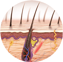 Chuyên khoa da liễu