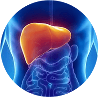 Chuyên khoa Gan mật