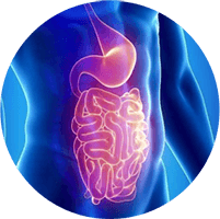 Chuyên khoa Tiêu hóa