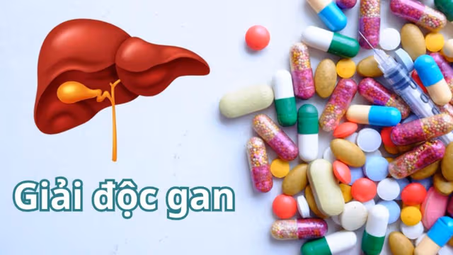 Cách giải độc gan sau khi dùng kháng sinh