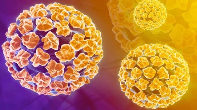 U tân sinh có phải ung thư không?