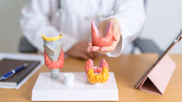 Các hoạt chất chính trong điều trị suy giáp