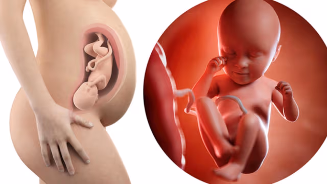 Sự phát triển của thai nhi tuần 35