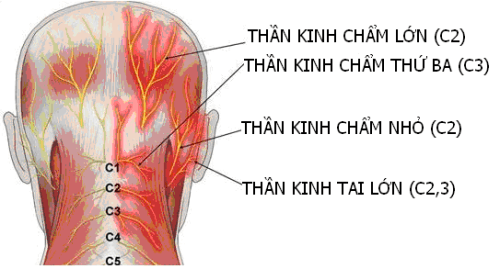 dau-day-than-kinh-o-dau