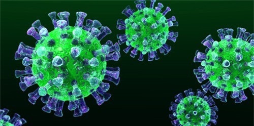 Thời kỳ ủ bệnh đối với MERS có thể là 5 ngày (Ảnh minh họa: Internet) 