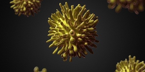 Viêm gan C là bệnh gan do vi rút viêm gan C (HCV) gây ra. 