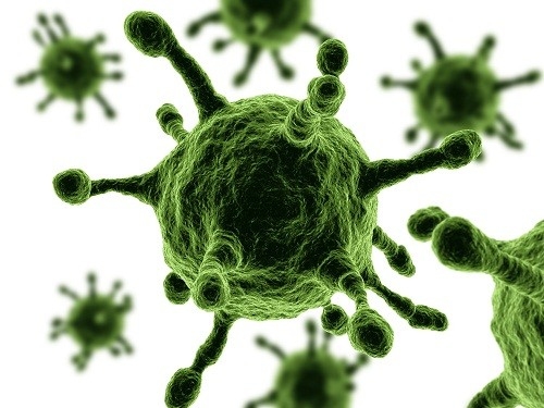 Bệnh đau mắt hột do một loại vi khuẩn là Chlamydia gây ra.