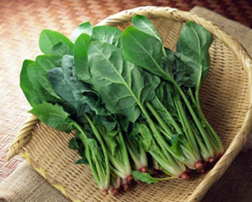 soi-than-kieng-nhung-gi