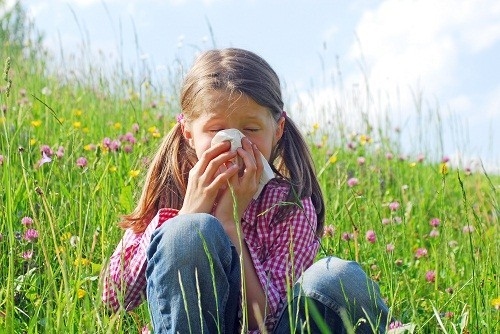 Nguyên nhân gây eczema ở trẻ em
