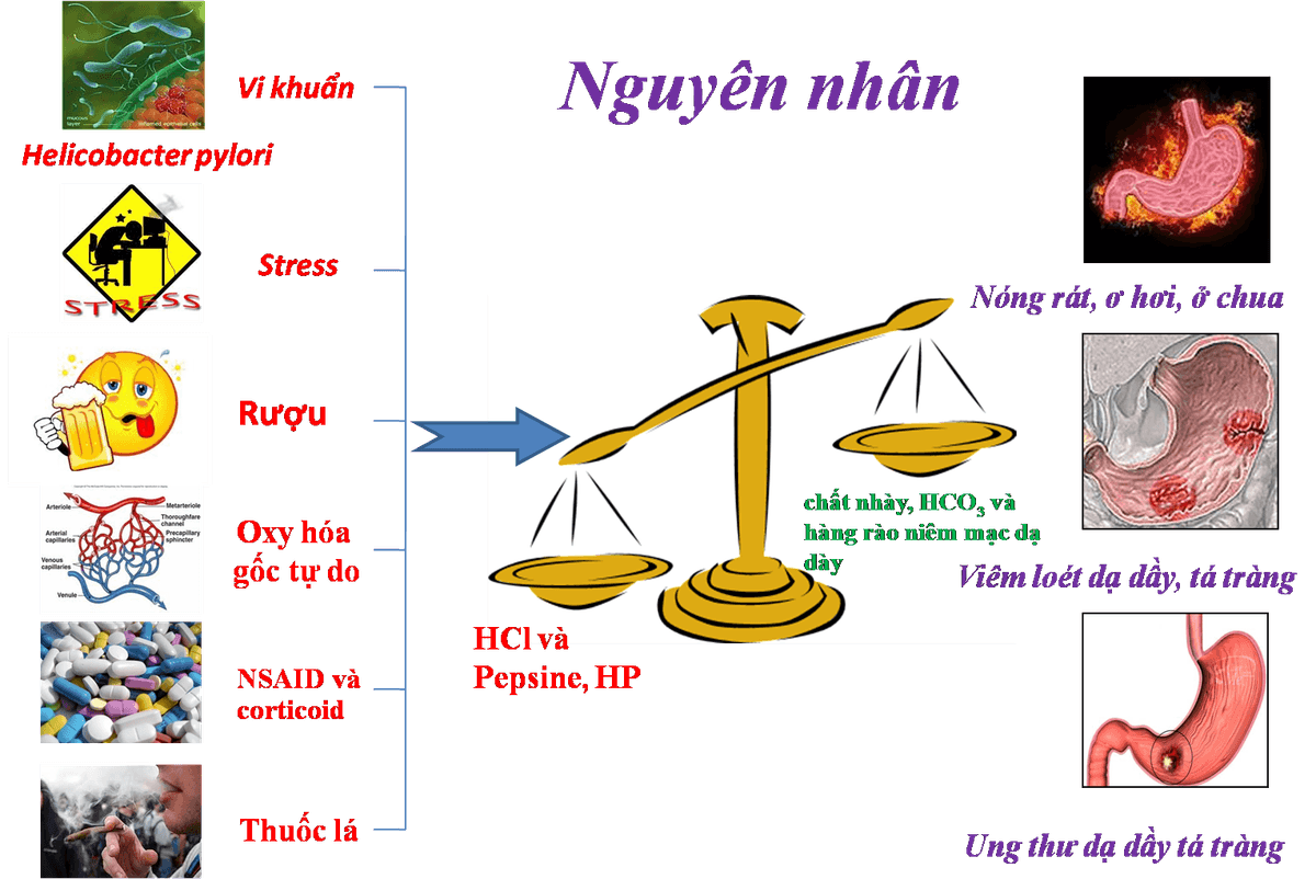 Những câu hỏi thường gặp về thuốc