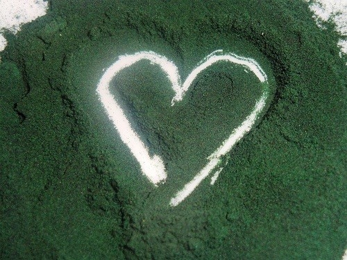 Tảo Spirulina thường không có tác dụng phụ nào đáng kể nhưng những người mắc các bệnh rối loạn tự miễn hoặc bệnh phenylketonuria niệu không nên sử dụng.