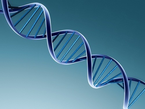 Xét nghiệm karyotype là gì? thiếu nhiễm sắc thể