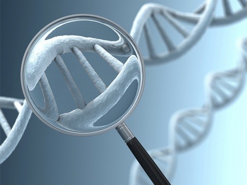 Kết quả xét nghiệm karyotype thường có trong vòng 1 – 2 tuần.