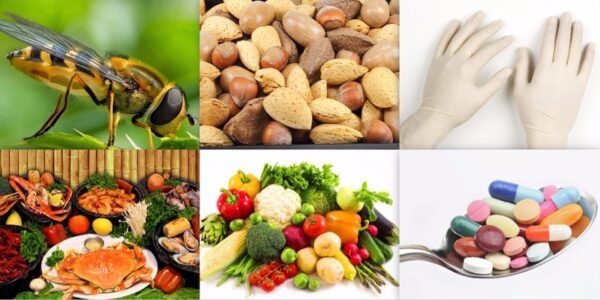 tình trạng sốc phản vệ
