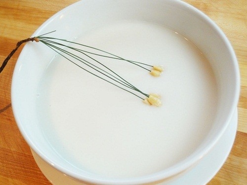 Mổ dây chằng nên ăn gì? Trong một vài ngày đầu người bệnh chỉ nên ăn thức ăn dạng lỏng