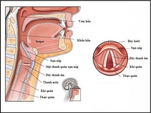 Khàn tiếng kéo dài lâu ngày có thể gây biến chứng ung thư thanh quản rất nguy hiểm