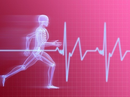 Nhịp tim thường tăng cao khi chúng ta tập thể dục nhưng nếu tình trạng này vẫn tiếp diễn hơn 10 phút sau khi hoàn thành việc luyện tập thì rất đáng lo ngại.