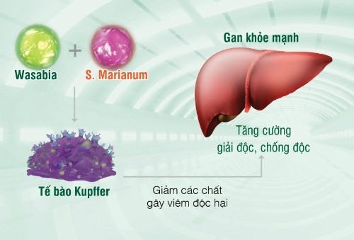 la-gan-nguoi-viet-kho-nhat-the-gioi2