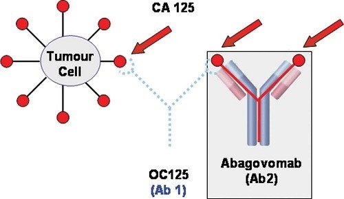 Xét nghiệm CA 125 là gì? CA 125 thường được sử dụng nhằm phát hiện sớm ung thư buồng trứng ở những người có nguy cơ cao, tiền sử gia đình mắc bệnh…