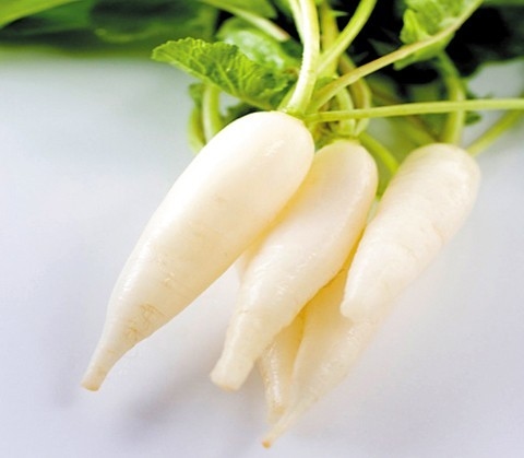 10-cong-dung-phong-chua-benh-tu-cu-cai