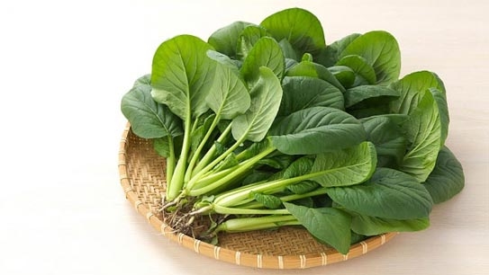 thuc-pham-giau-acid-folic