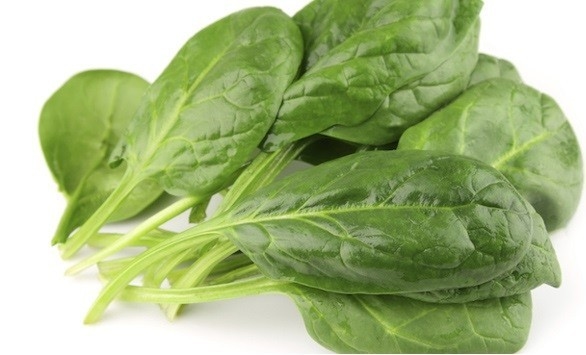 Spinach on white