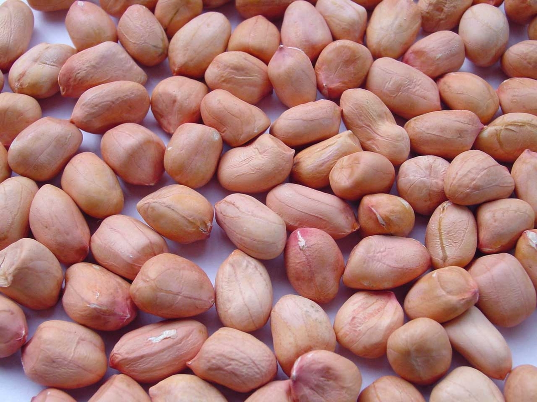 thuc-pham-tot-cho-tri-nao-thai-nhi7
