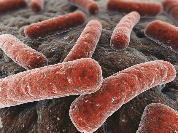 Bệnh lao là 1 bệnh truyền nhiễm do trực khuẩn lao Myobacterium tuberculosis phát triển gây nên.