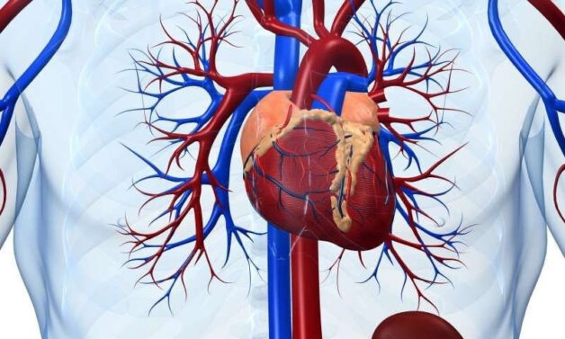 Trẻ viêm nhiễm đường hô hấp trên có thể bị biến chứng viêm cơ tim