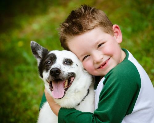 Chó và mèo đều là những tác nhân quan trọng gây khởi phát cơn hen. 