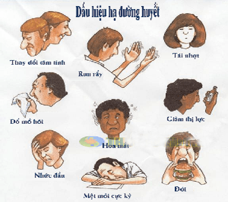 Hạ đường huyết phải làm sao? cần xử lý kịp thời
