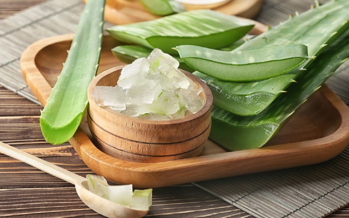 Chữa bệnh dạ dày bằng cây lô hội