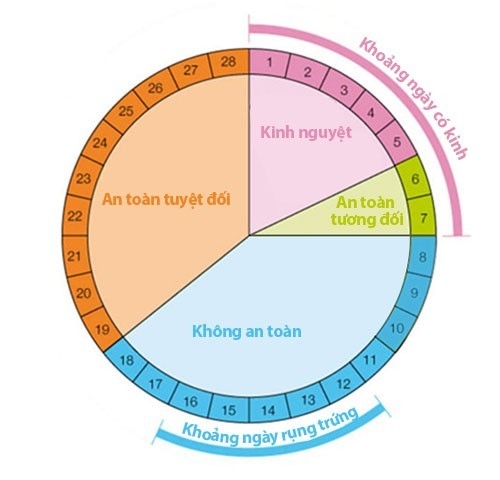 Cách tính chu kỳ rụng trứng