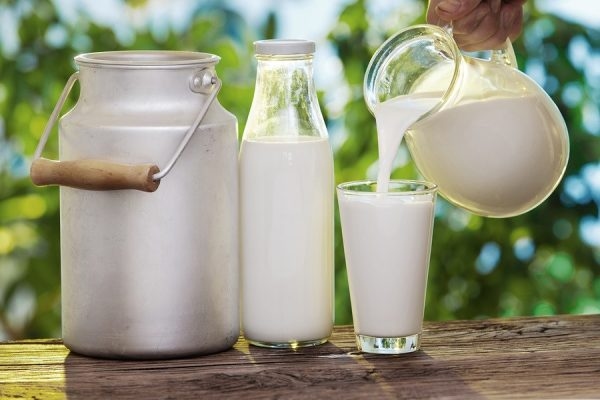 Sữa và các chế phẩm từ sữa tốt cho người đau dạ dày
