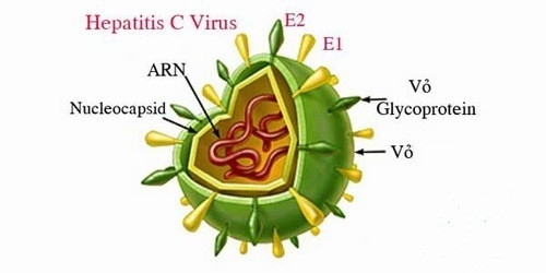 Viêm gan C cần xét nghiệm để chẩn đoán phát hiện càng sớm càng tốt