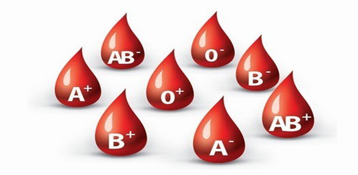 Đặc điểm nhóm máu O &#8211; những điều bạn cần biết