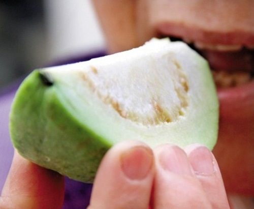 Đau bao tử có nên ăn ổi không là băn khoăn chung được nhiều người đặt ra