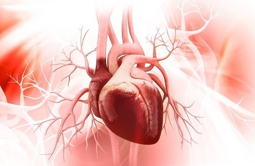Tìm hiểu về bệnh hở van tim 3 lá để chủ động điều trị