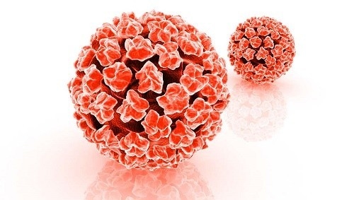 Virus HPV lây qua đường nào?