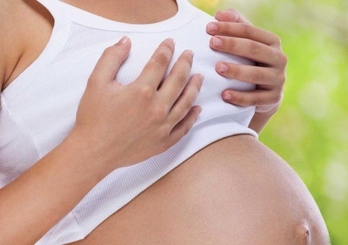 Massage ngực nhẹ nhàng, không nên cố gắng chà xát các hạt nhỏ trên nhũ hoa