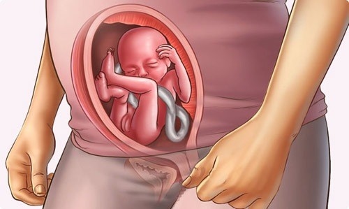 Lúc naỳ, bé đã lớn lên trông thấy, cân nặng của con là khoảng 300gr