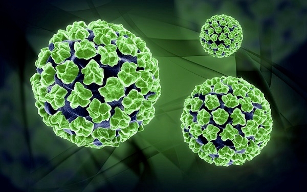 Dương tính HPV cần làm gì?