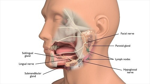 ung thư tuyến nước bọt