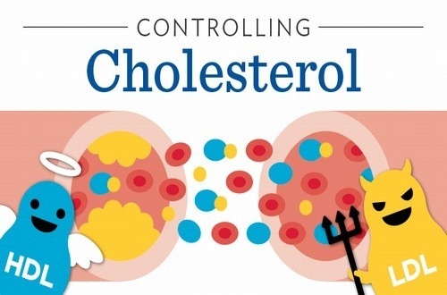 Biện pháp giữ cholesterol ở mức an toàn