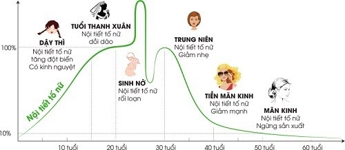 Đến thời kỳ mãn kinh, cơ chế sản xuất estrogen của cơ thể giảm.