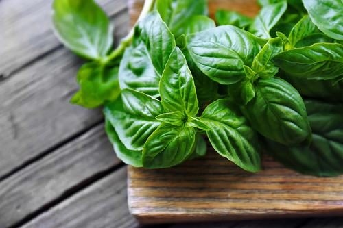 Húng quế được coi như một loại thảo mộc có tính kháng khuẩn sẽ tiêu diệt vi sinh vật có hại và làm bớt đi khó chịu ở bụng. 