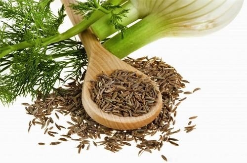 Loại hạt này có đặc tính kháng sinh chống lại các vi khuẩn gây ngộ độc thực phẩm