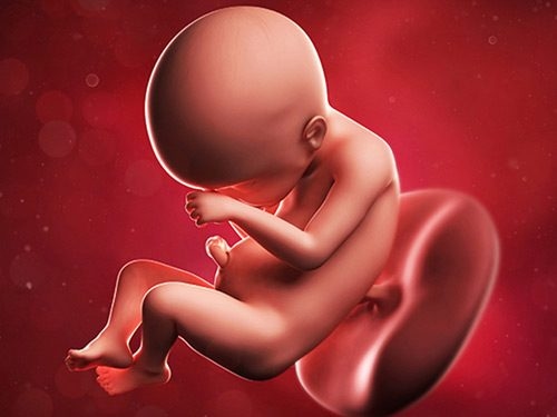 Được chỉ định sinh mổ khi thai nhi lớn
