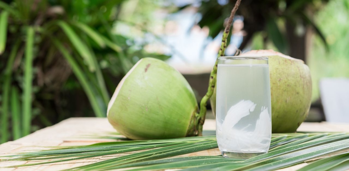 Sinh mổ uống nước dừa có được không?