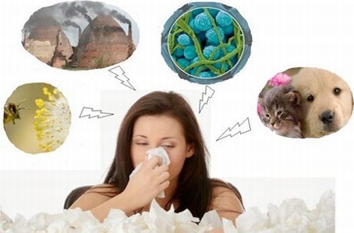 Viêm xoang mũi dị ứng là gì? cách phòng ngừa bệnh